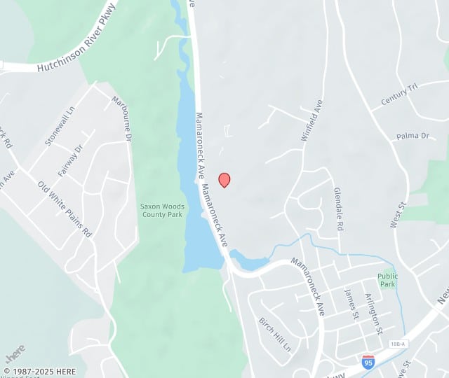 Joelle Rogal, MD, FACS